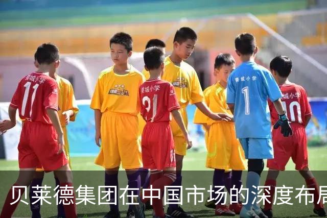 贝莱德集团在中国市场的深度布局及其潜在影响